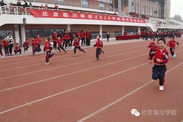 1512900344105905.jpg 13.jpg