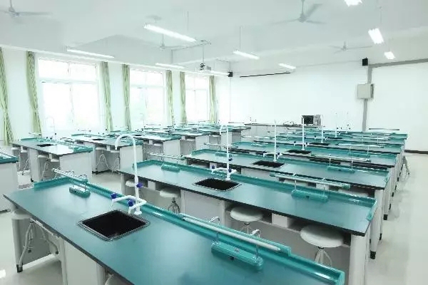 1512900595942396.jpg 26.jpg