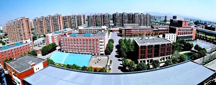 1594189466494856.jpg 03.webp.jpg